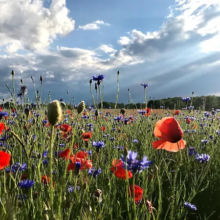 Lille Hus - Nah Am I Entschleunigen Im Gruenen